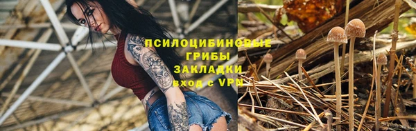 ПСИЛОЦИБИНОВЫЕ ГРИБЫ Зерноград